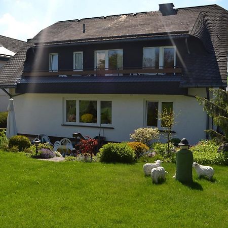 Pension Robin Hood Willingen  Exteriér fotografie
