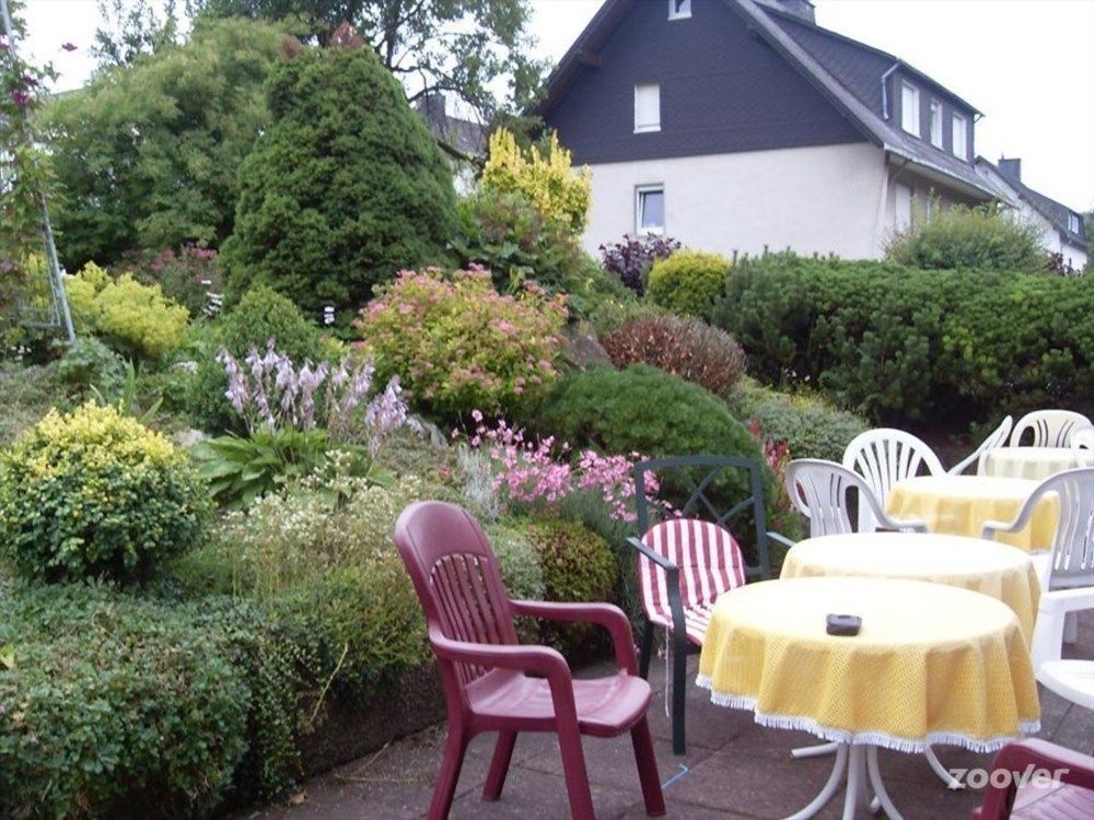 Pension Robin Hood Willingen  Exteriér fotografie