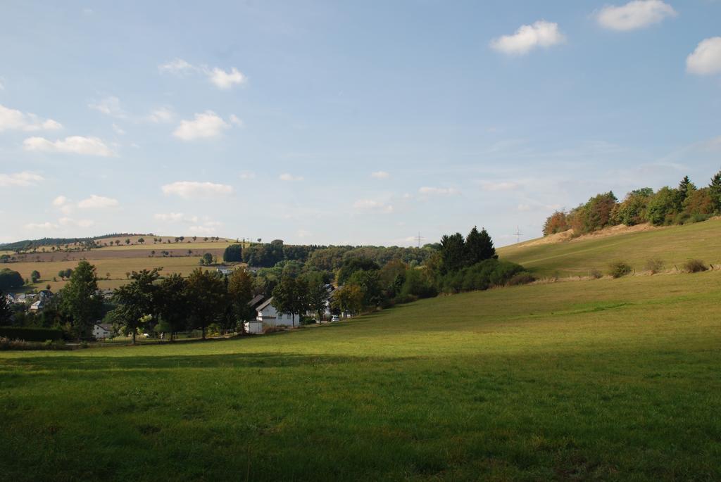 Pension Robin Hood Willingen  Exteriér fotografie