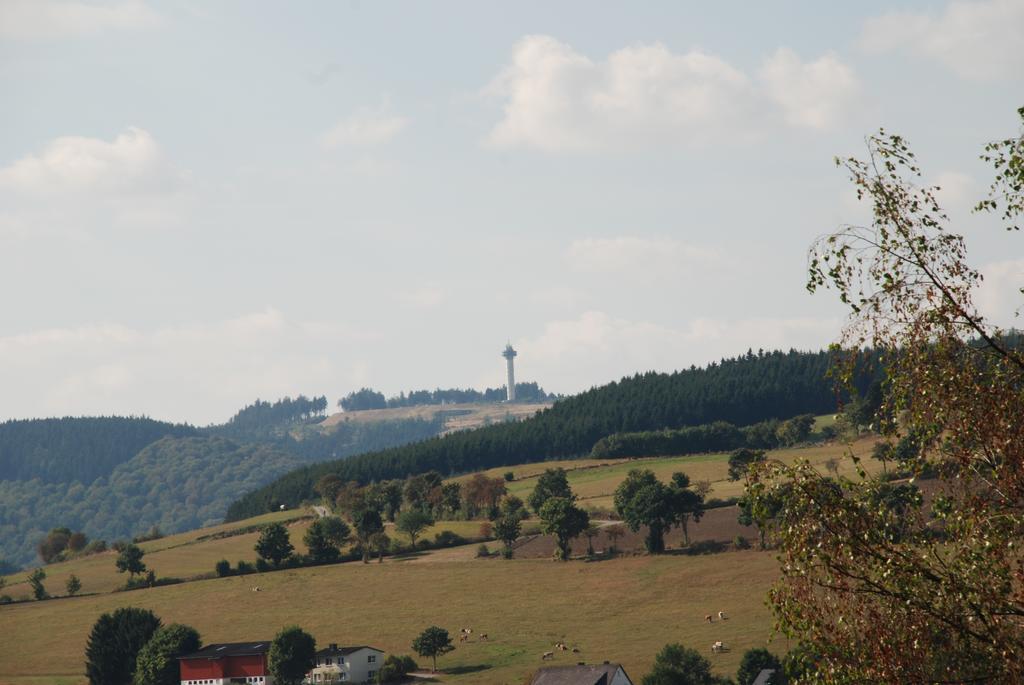 Pension Robin Hood Willingen  Exteriér fotografie