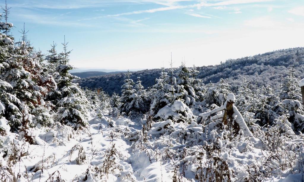 Pension Robin Hood Willingen  Exteriér fotografie