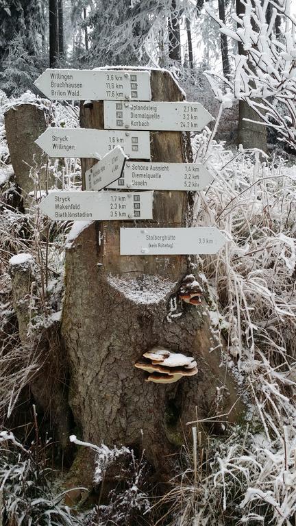 Pension Robin Hood Willingen  Exteriér fotografie