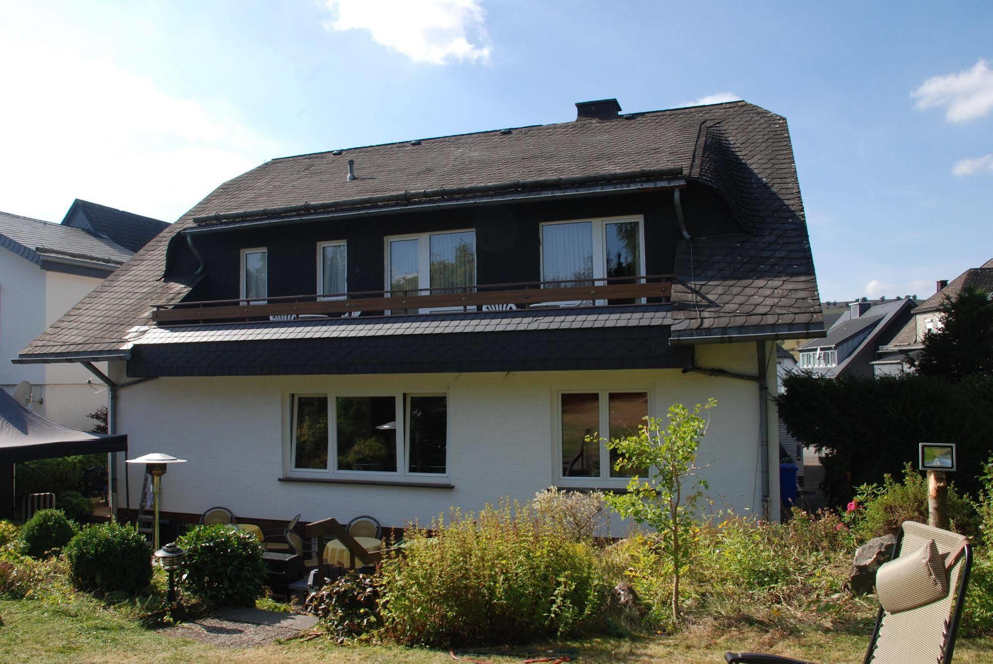 Pension Robin Hood Willingen  Exteriér fotografie