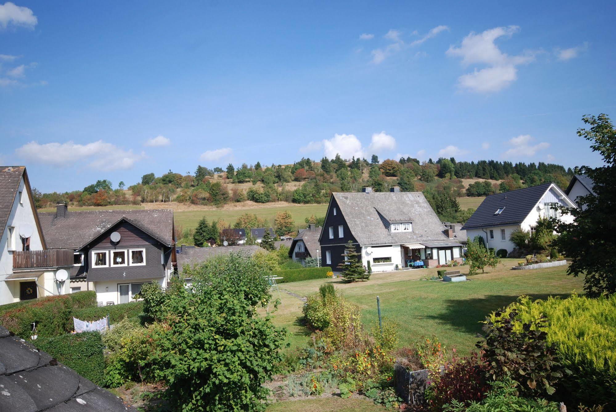 Pension Robin Hood Willingen  Exteriér fotografie
